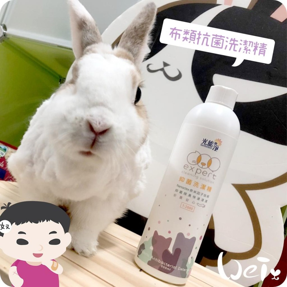 魏啥麻-光能淨 布類抗菌濃縮洗潔精 薰衣草300ml(兔 天竺鼠)-細節圖6