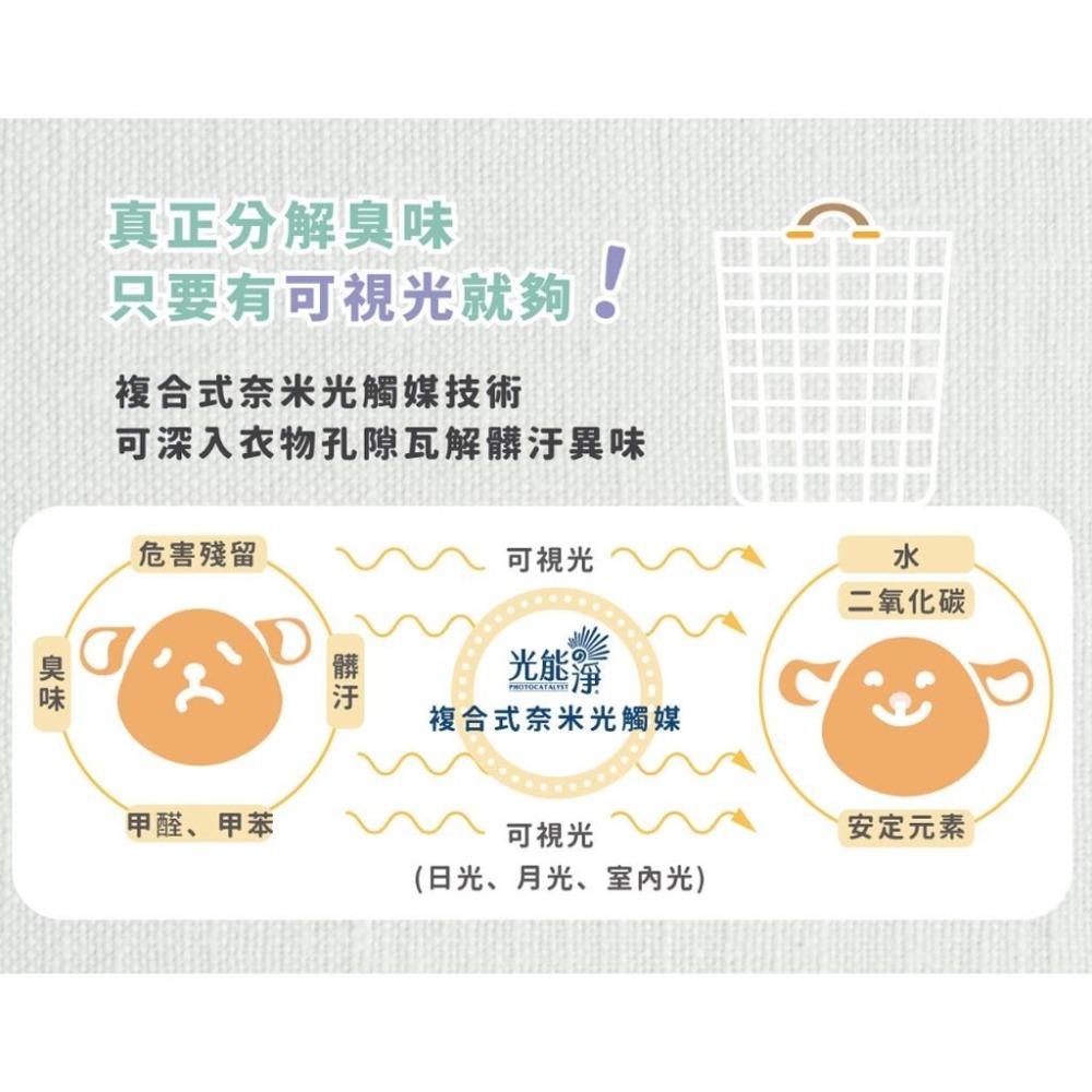 魏啥麻-光能淨 布類抗菌濃縮洗潔精 薰衣草300ml(兔 天竺鼠)-細節圖5