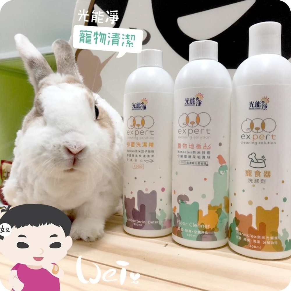 魏啥麻-光能淨 布類抗菌濃縮洗潔精 薰衣草300ml(兔 天竺鼠)-細節圖7