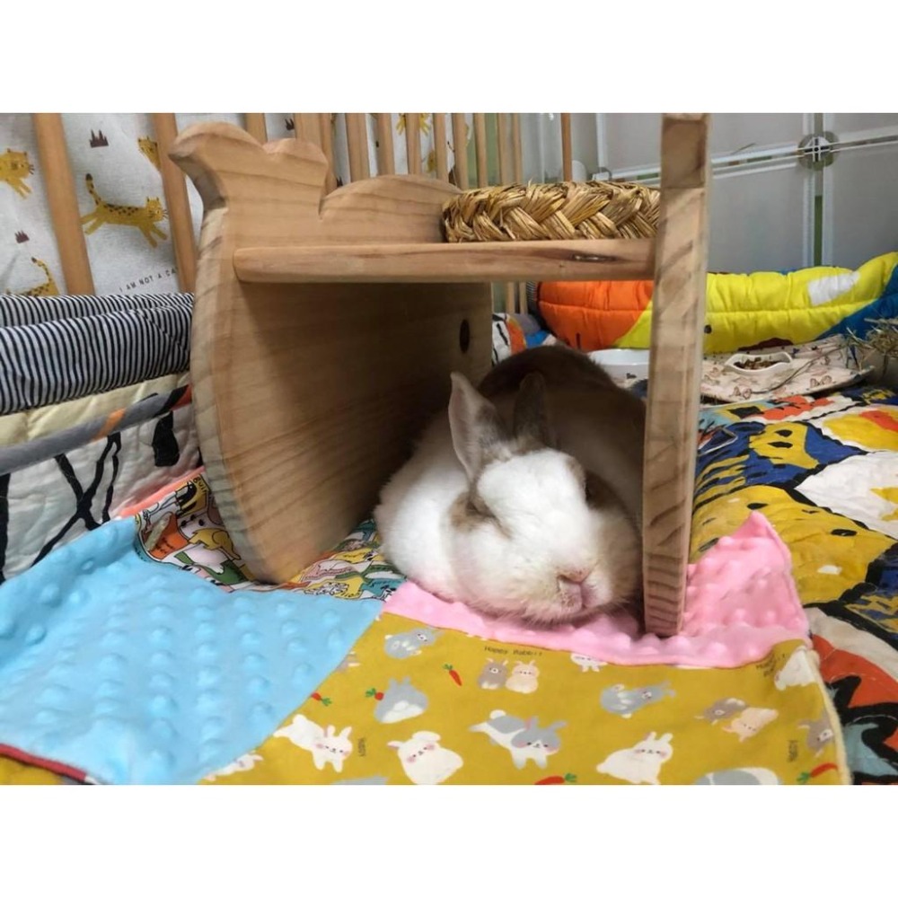 魏啥麻手作-【台灣製造】拼圖泡泡毯-貓狗兔鼠寵物用品-細節圖3