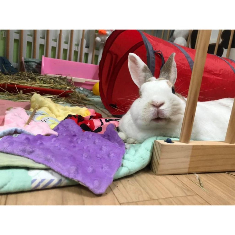 魏啥麻手作-【台灣製造】拼圖泡泡毯-貓狗兔鼠寵物用品-細節圖4