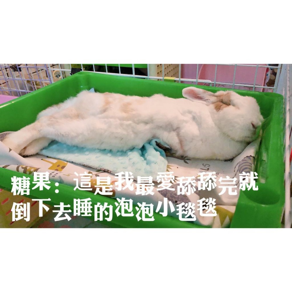 魏啥麻手作-【台灣製造】拼圖泡泡毯-貓狗兔鼠寵物用品-細節圖6