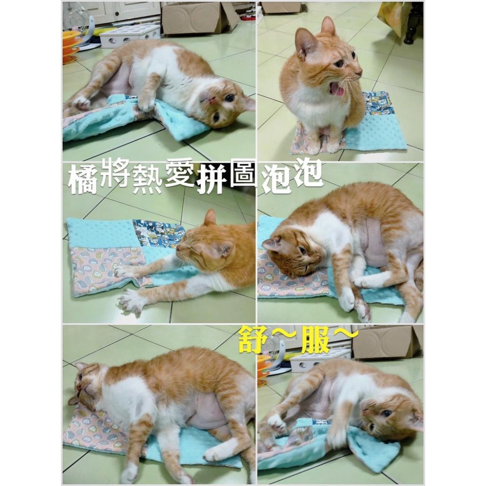 魏啥麻手作-【台灣製造】拼圖泡泡毯-貓狗兔鼠寵物用品-細節圖7