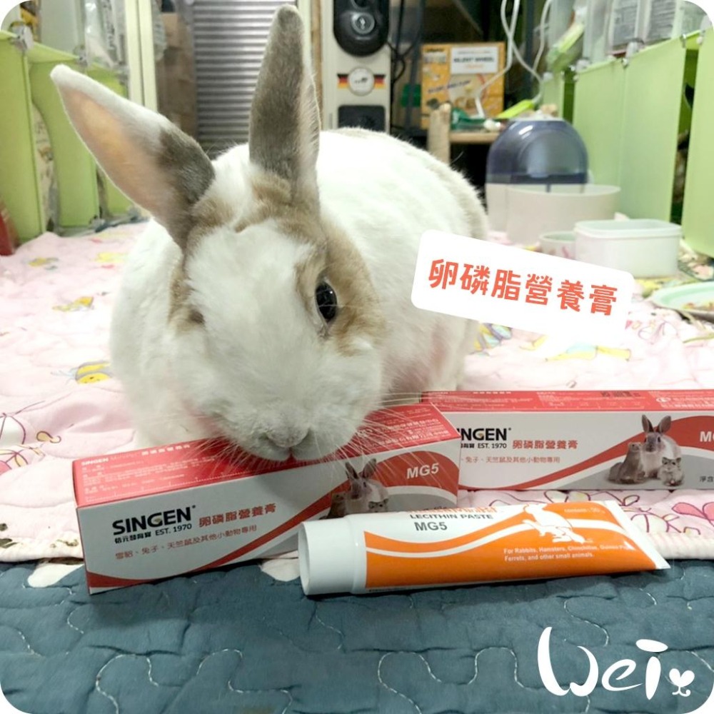 魏啥麻-信元發育寶卵磷脂營養膏 50g (全身性綜合保健 心臟與肝臟保健 免疫力維持)兔 天竺鼠-細節圖2