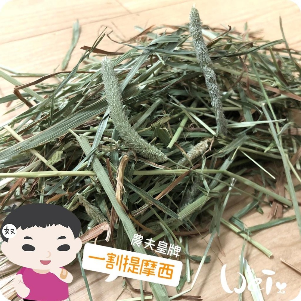 魏啥麻-摩米MOMI 農夫皇牌 T1 一割提摩西1kg(已過篩 梗多) 兔 天竺鼠 龍貓牧草)-細節圖2