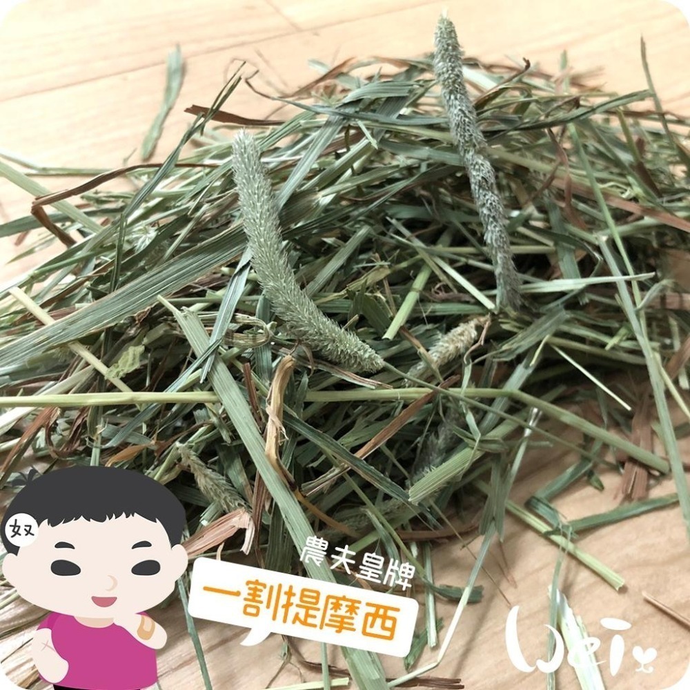 魏啥麻-摩米MOMI 農夫皇牌 T1 一割提摩西1kg(已過篩 梗多) 兔 天竺鼠 龍貓牧草)-細節圖2