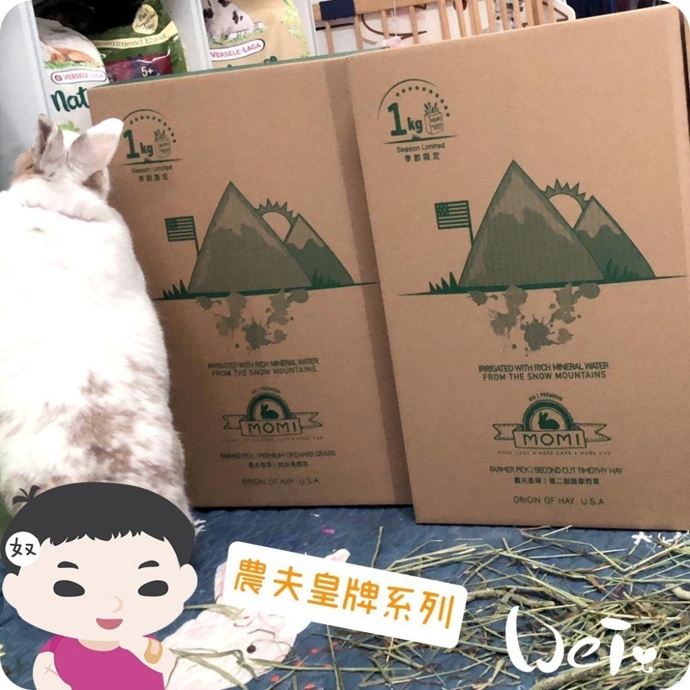 魏啥麻-摩米MOMI 農夫皇牌 T1 一割提摩西1kg(已過篩 梗多) 兔 天竺鼠 龍貓牧草)-細節圖5
