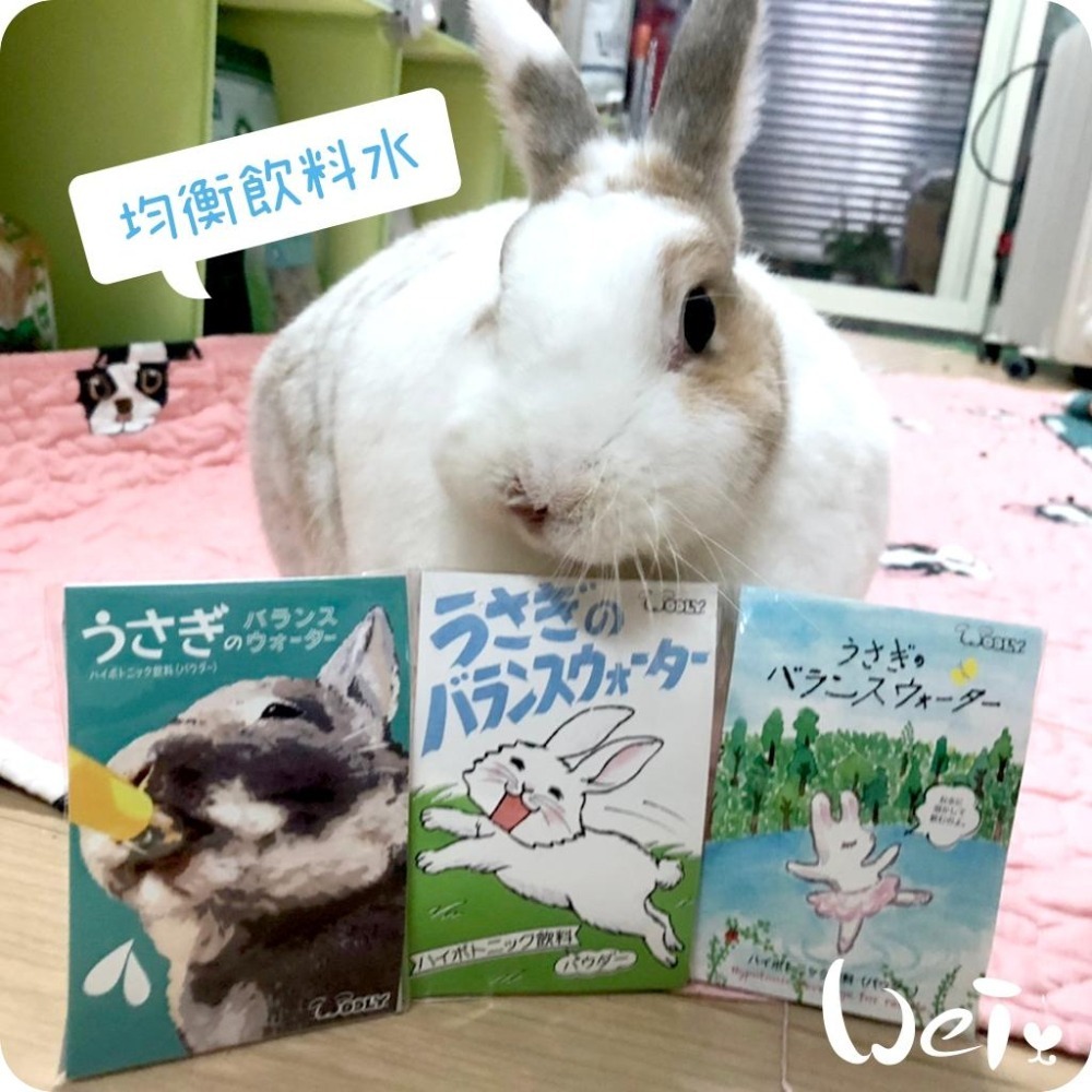 魏啥麻-(特價)日本WOOLY 寵兔之均衡飲料水 5入/袋 (電解質 水分)(含葡萄糖)兔 天竺鼠保健品-細節圖5