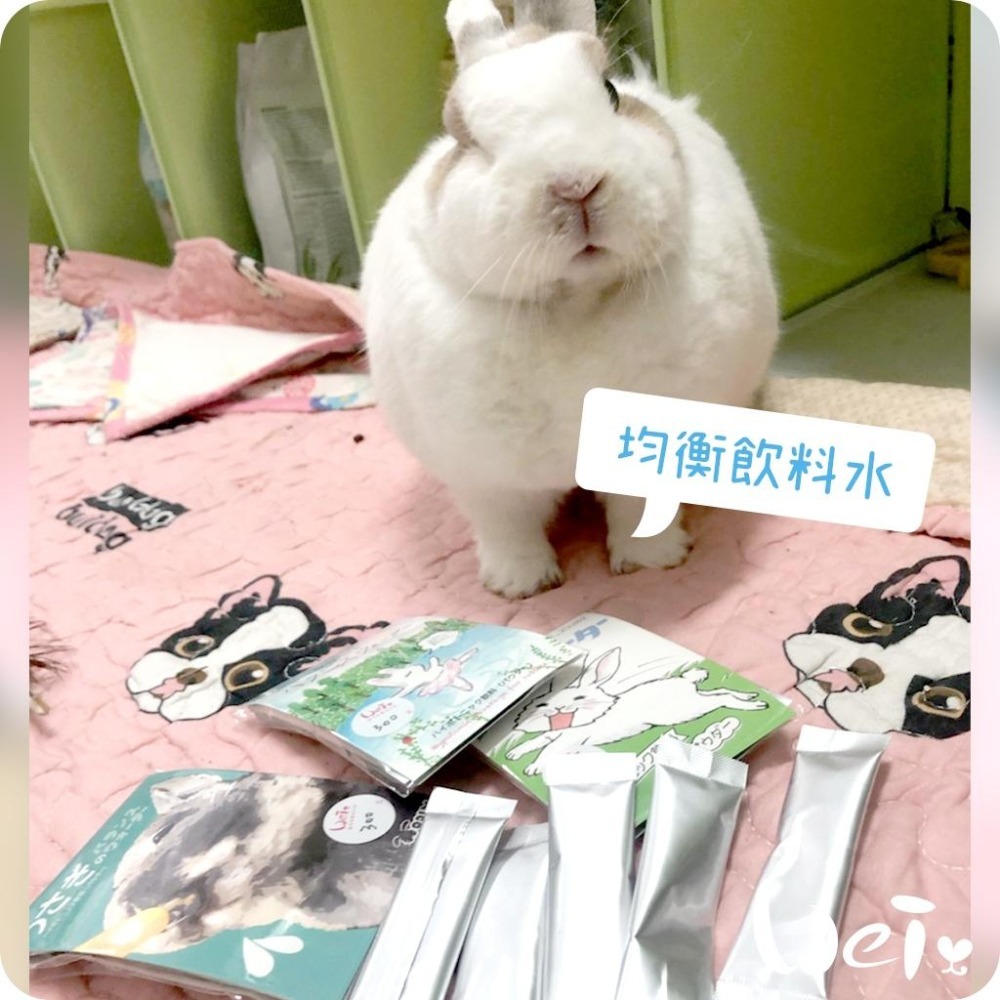 魏啥麻-(特價)日本WOOLY 寵兔之均衡飲料水 5入/袋 (電解質 水分)(含葡萄糖)兔 天竺鼠保健品-細節圖6
