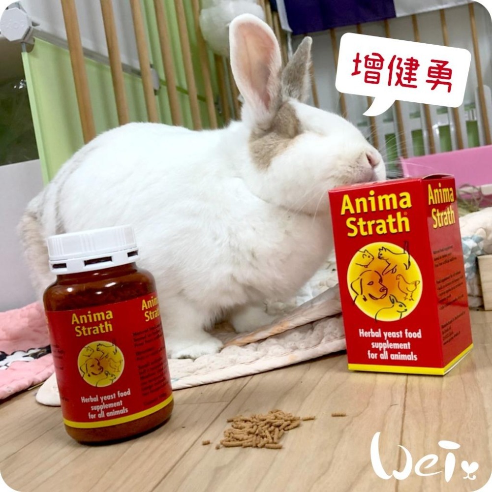魏啥麻-Anima Strath granule 增健勇 100g (免疫力維持 消化保健 毛髮亮麗)兔 天竺鼠保健品-細節圖5