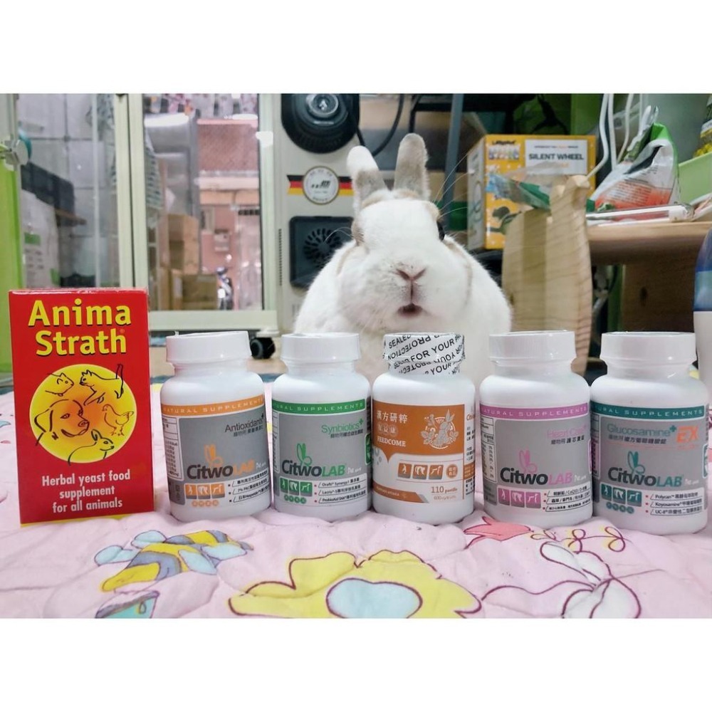 魏啥麻-Anima Strath granule 增健勇 100g (免疫力維持 消化保健 毛髮亮麗)兔 天竺鼠保健品-細節圖6