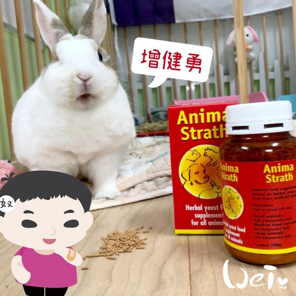 魏啥麻-Anima Strath granule 增健勇 100g (免疫力維持 消化保健 毛髮亮麗)兔 天竺鼠保健品-細節圖3