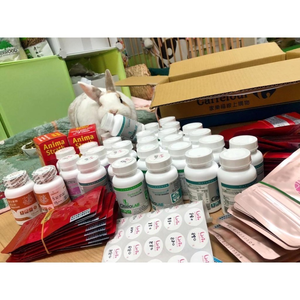 魏啥麻-Anima Strath granule 增健勇 100g (免疫力維持 消化保健 毛髮亮麗)兔 天竺鼠保健品-細節圖7