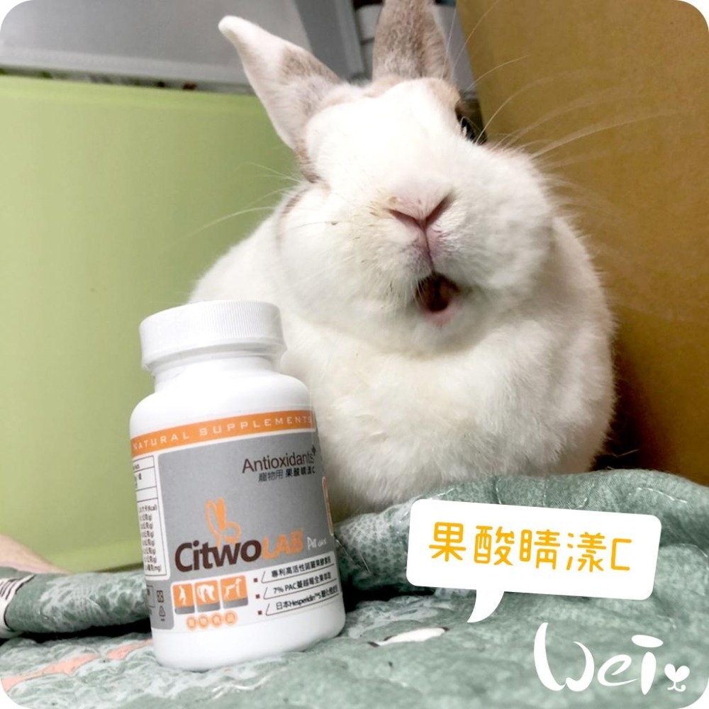 魏啥麻-CI兔 Citwo LAB 果酸睛漾C 180錠 (抗氧化 眼睛泌尿保健) (兔 天竺鼠保健品)-細節圖2