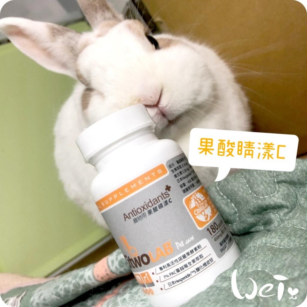 魏啥麻-CI兔 Citwo LAB 果酸睛漾C 180錠 (抗氧化 眼睛泌尿保健) (兔 天竺鼠保健品)-細節圖3