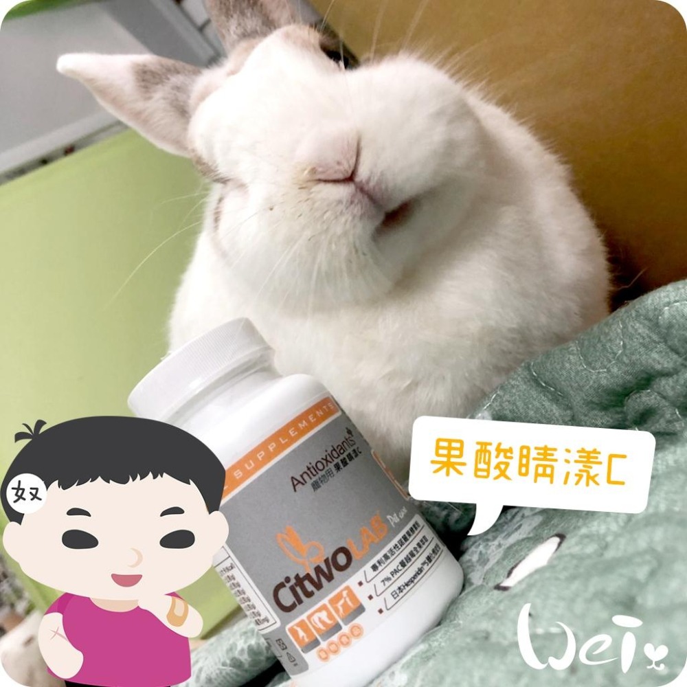 魏啥麻-CI兔 Citwo LAB 果酸睛漾C 180錠 (抗氧化 眼睛泌尿保健) (兔 天竺鼠保健品)-細節圖4
