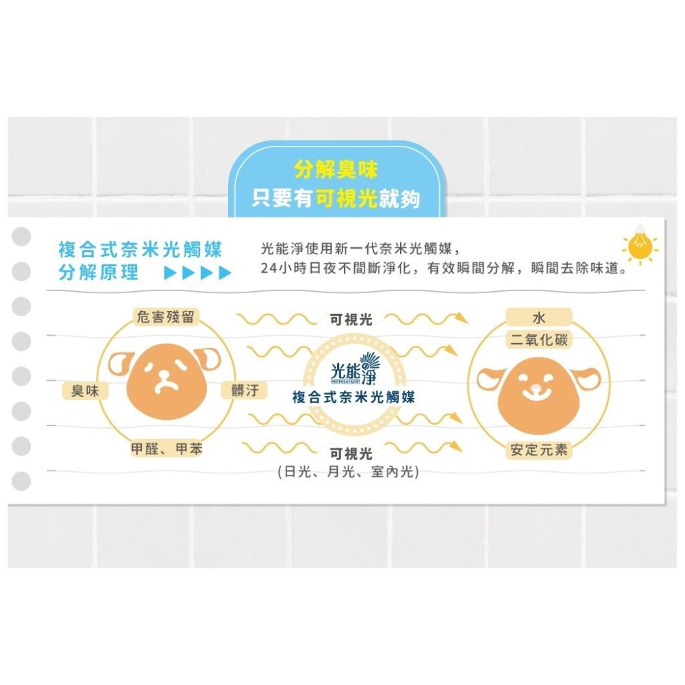 魏啥麻-光能淨 寵物地板專用清潔劑 300ml(兔 天竺鼠)-細節圖5