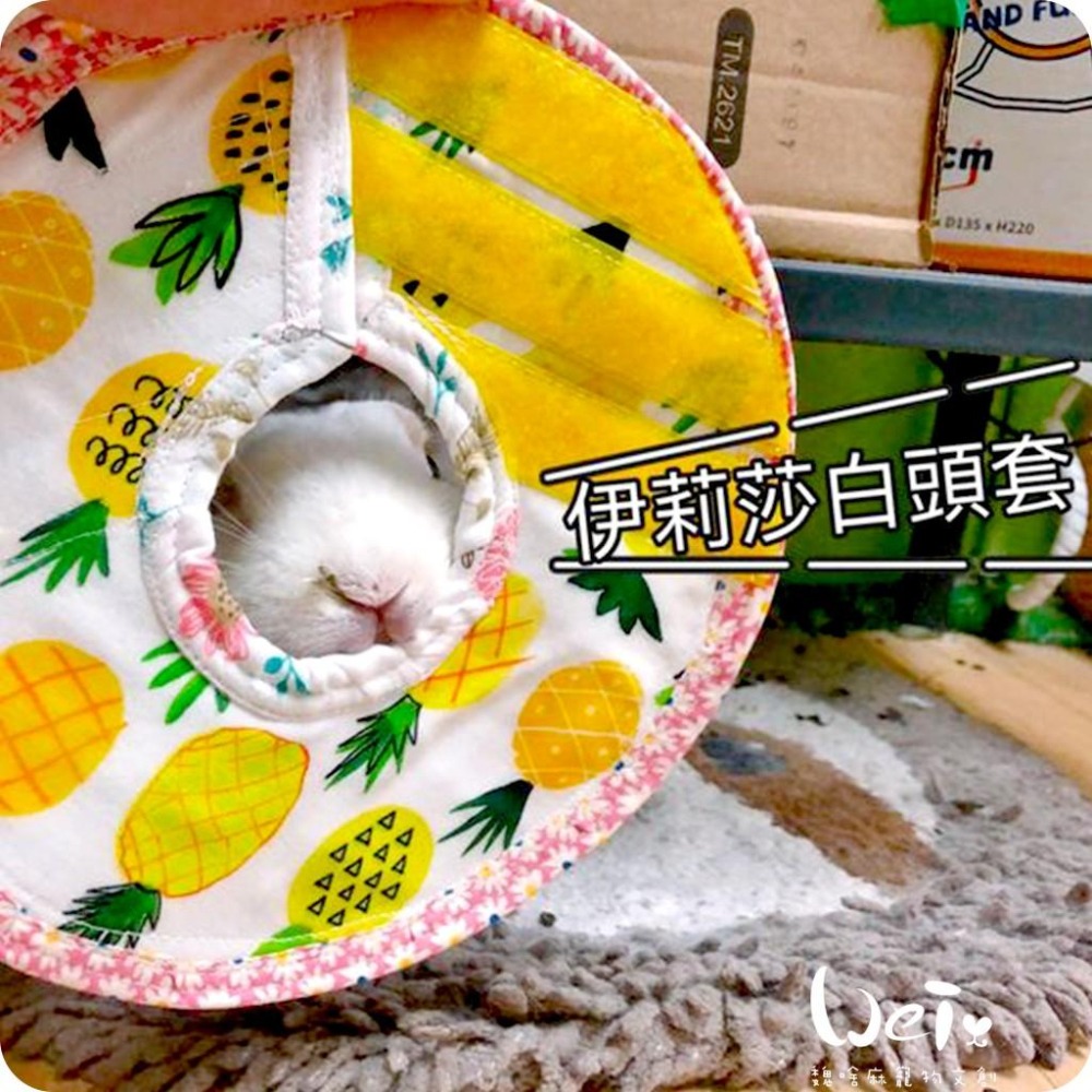 魏啥麻手作-寵物頭套 / 伊麗莎白頸圈 / 雷達 - 貓兔天竺鼠寵物用品-細節圖2