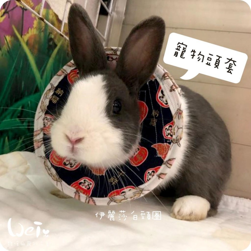 魏啥麻手作-寵物頭套 / 伊麗莎白頸圈 / 雷達 - 貓兔天竺鼠寵物用品-細節圖3