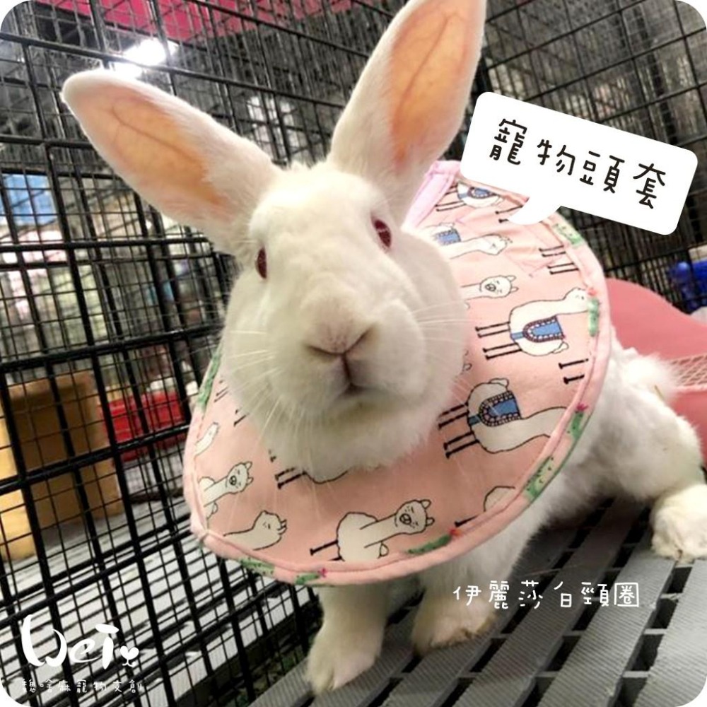 魏啥麻手作-寵物頭套 / 伊麗莎白頸圈 / 雷達 - 貓兔天竺鼠寵物用品-細節圖4