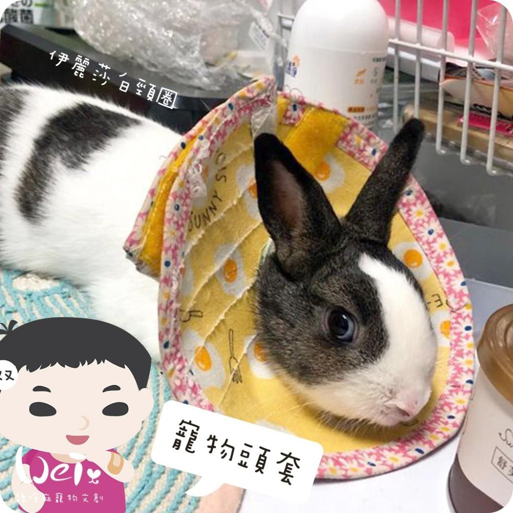 魏啥麻手作-寵物頭套 / 伊麗莎白頸圈 / 雷達 - 貓兔天竺鼠寵物用品-細節圖5