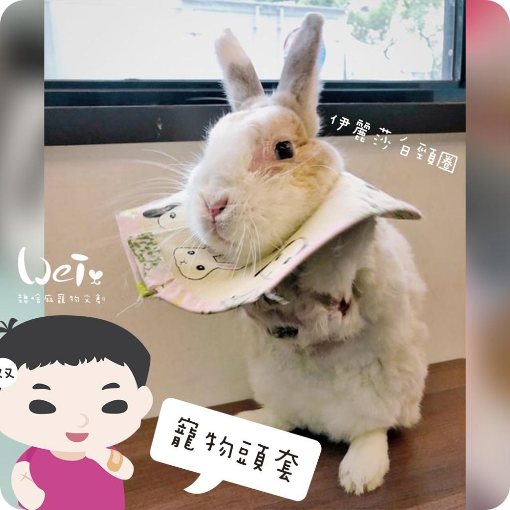 魏啥麻手作-寵物頭套 / 伊麗莎白頸圈 / 雷達 - 貓兔天竺鼠寵物用品-細節圖7