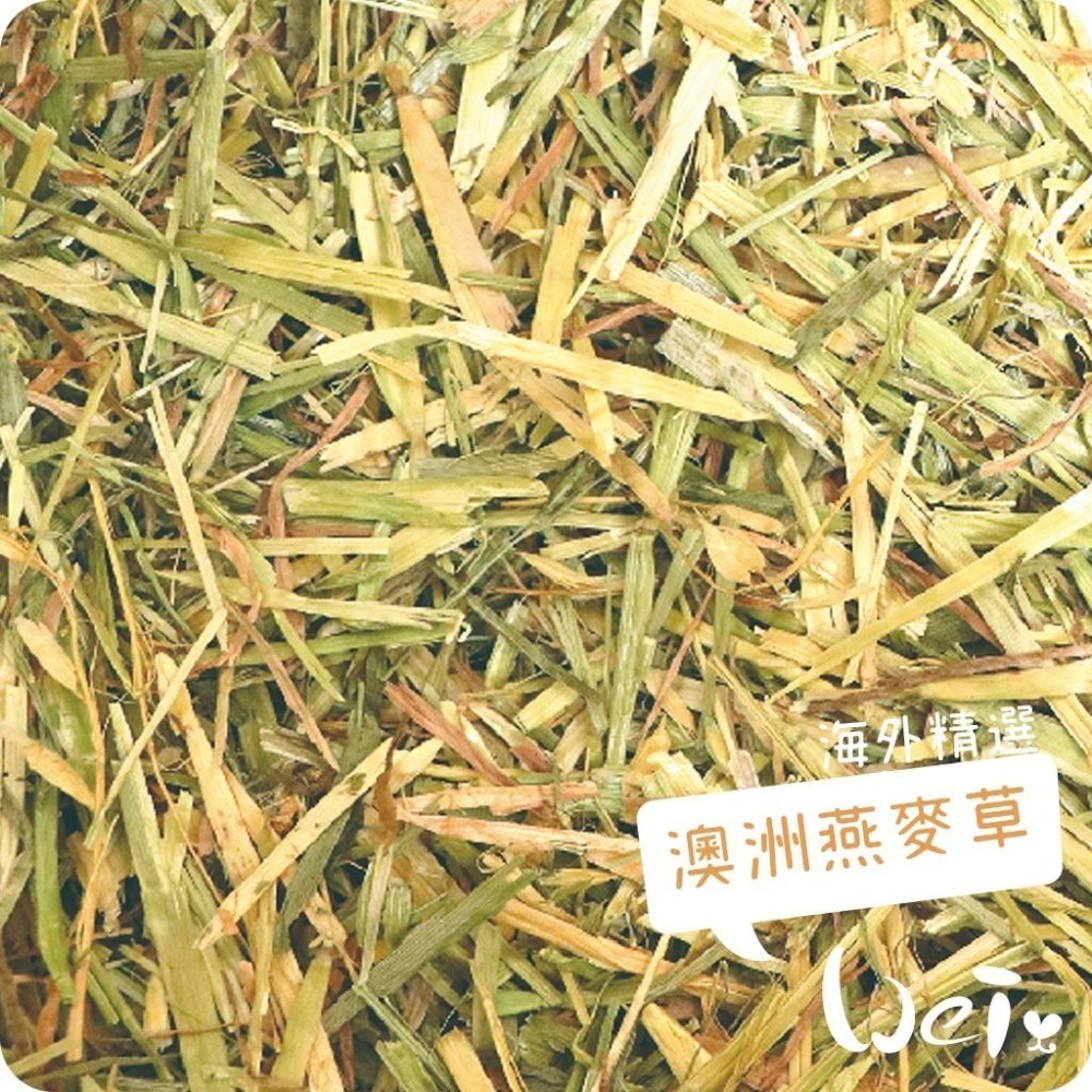 魏啥麻-日本WOOLY海外精選 澳洲燕麥草 850g(甜燕麥) 2025年度草(兔 天竺鼠 龍貓牧草)-細節圖3