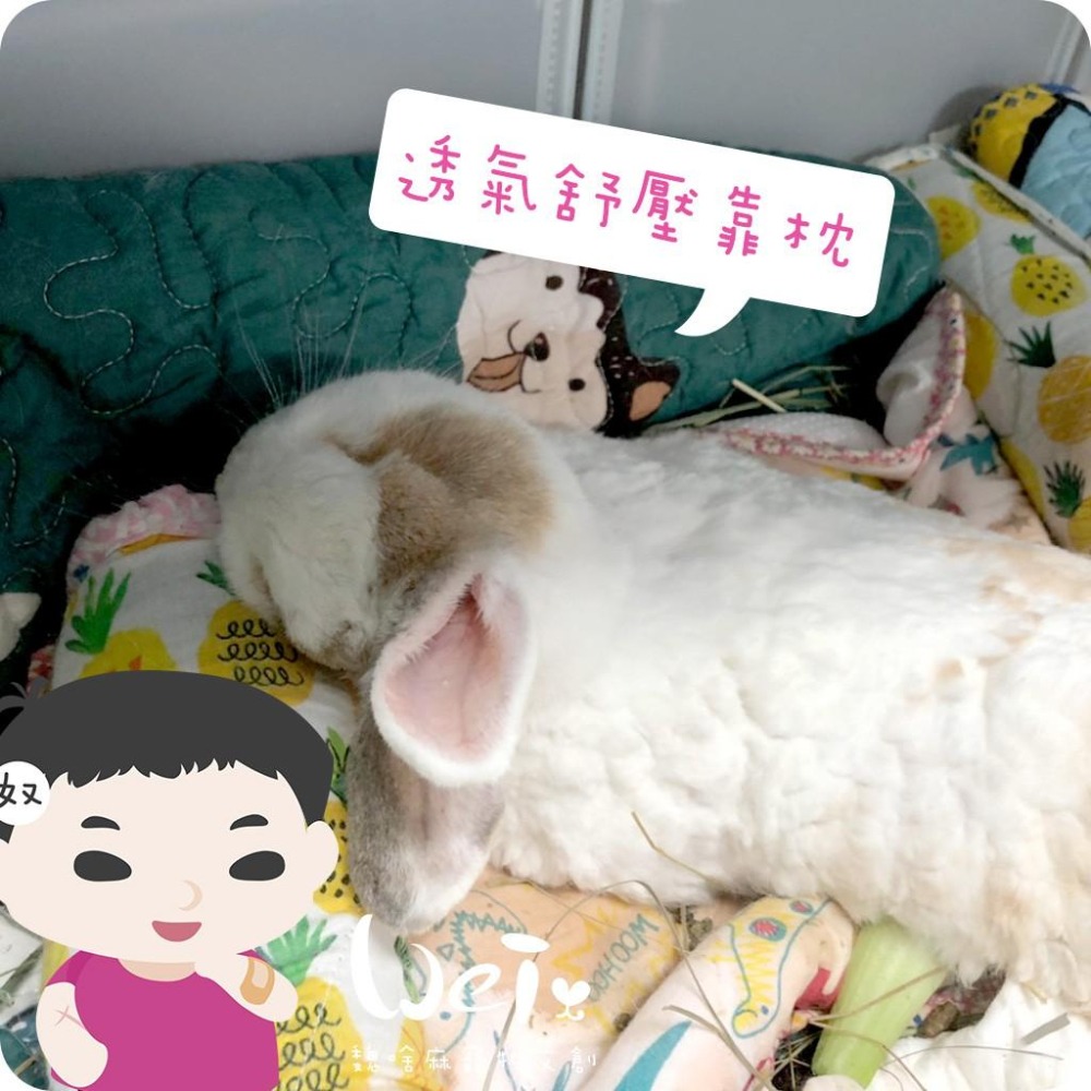 魏啥麻手作-我就靠你了! 透氣舒壓靠枕/枕頭- 兔子歪頭斜頸、老兔病兔癱瘓兔適用-貓狗兔天竺鼠寵物用【台灣製造】-細節圖4