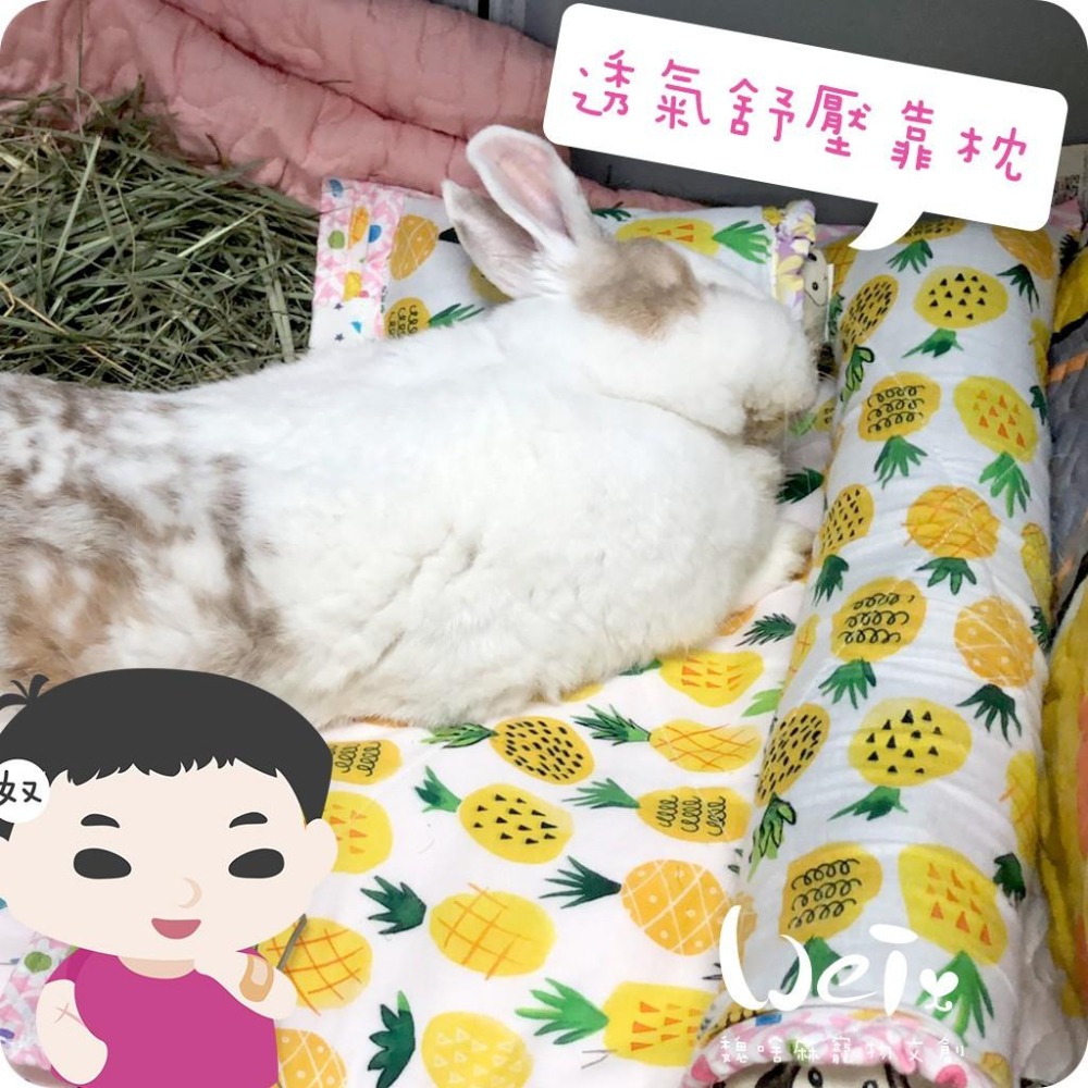 魏啥麻手作-我就靠你了! 透氣舒壓靠枕/枕頭- 兔子歪頭斜頸、老兔病兔癱瘓兔適用-貓狗兔天竺鼠寵物用【台灣製造】-細節圖5