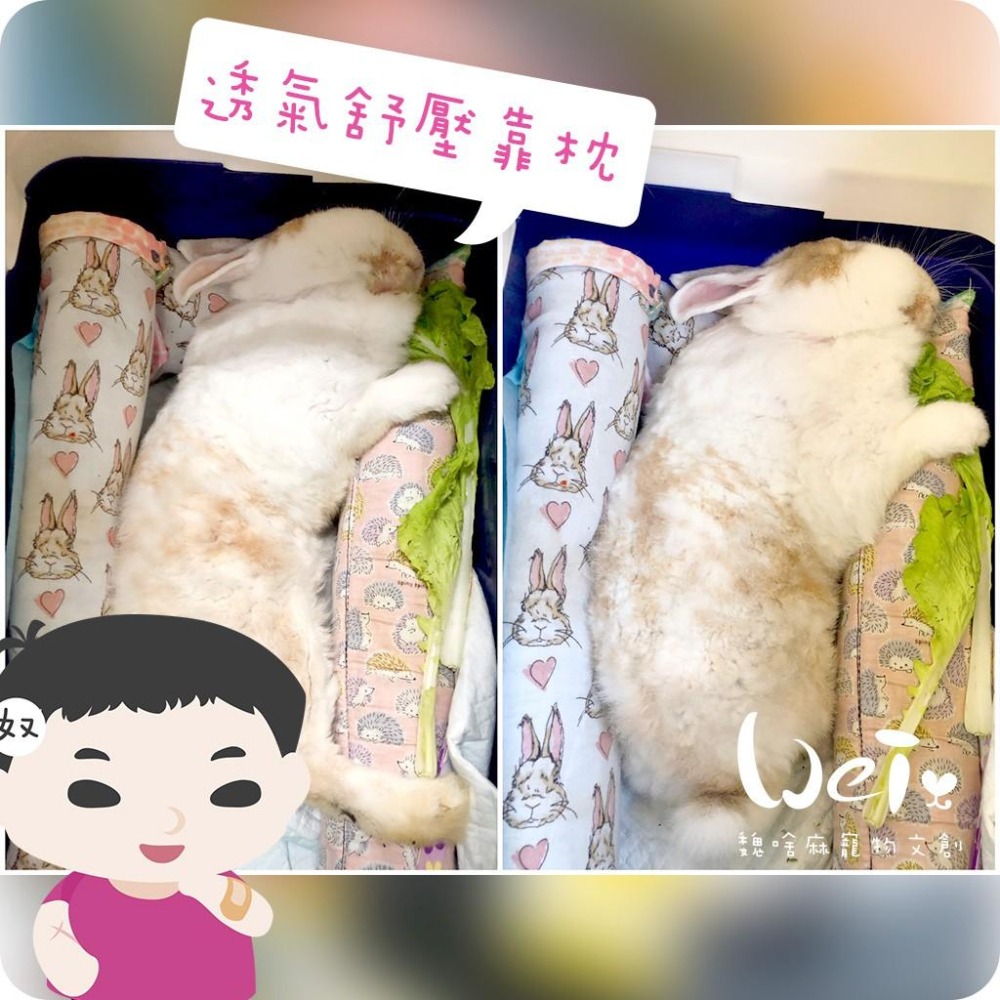 魏啥麻手作-我就靠你了! 透氣舒壓靠枕/枕頭- 兔子歪頭斜頸、老兔病兔癱瘓兔適用-貓狗兔天竺鼠寵物用【台灣製造】-細節圖6