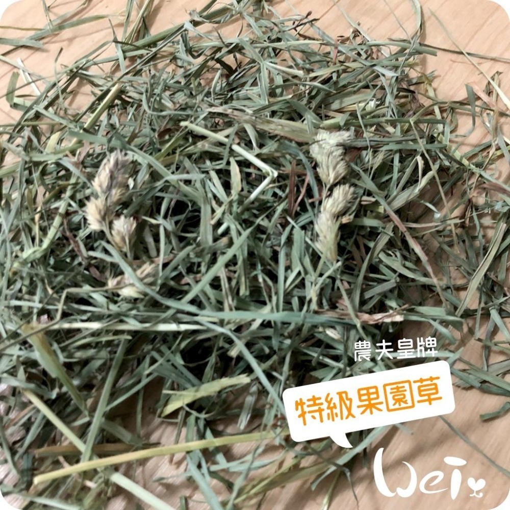 魏啥麻-摩米MOMI 農夫皇牌特級果園草 1kg (兔 天竺鼠 龍貓牧草)-細節圖2