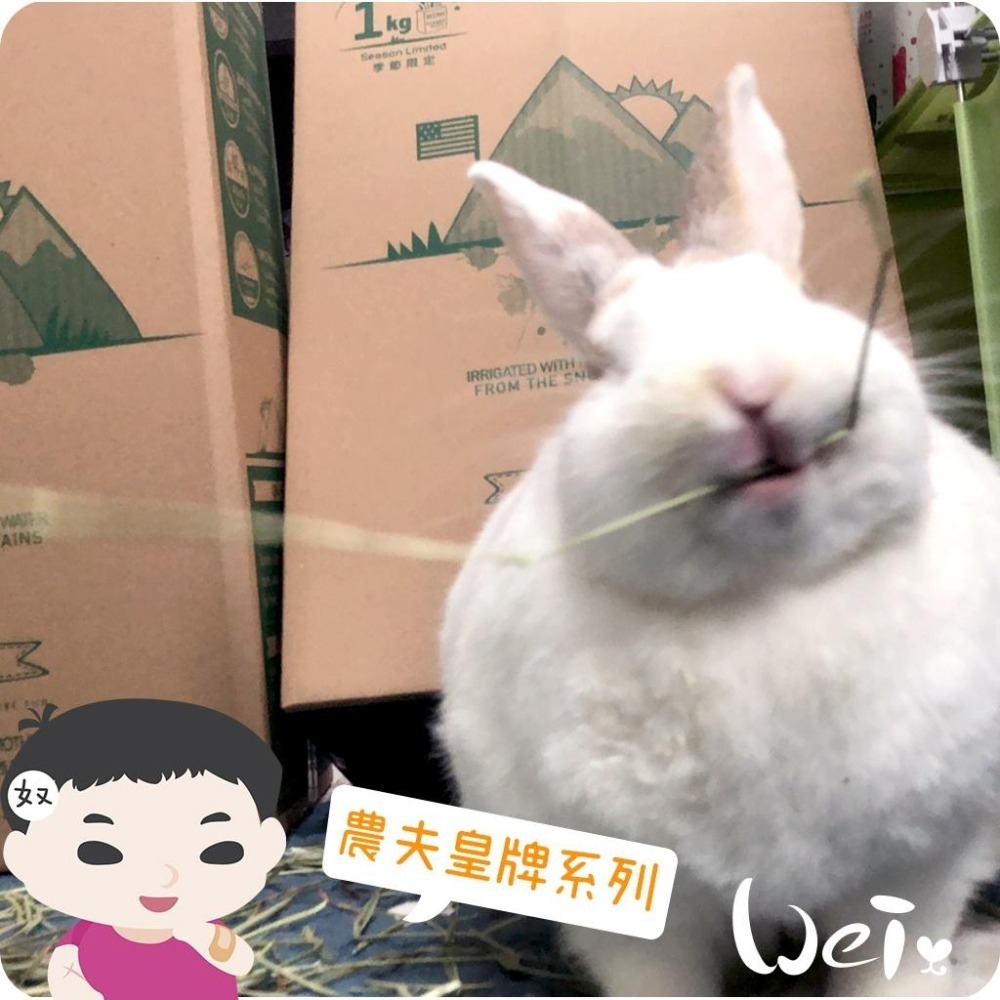 魏啥麻-摩米MOMI 農夫皇牌特級果園草 1kg (兔 天竺鼠 龍貓牧草)-細節圖5