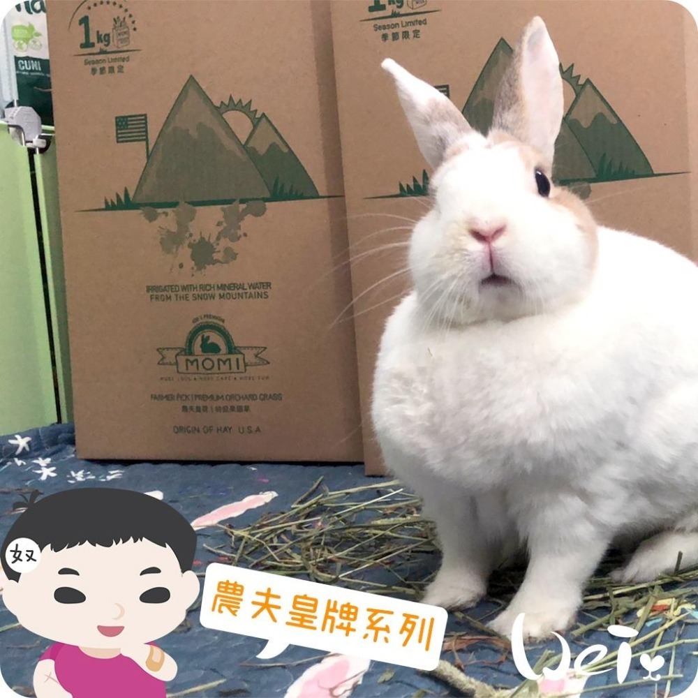 魏啥麻-摩米MOMI 農夫皇牌特級果園草 1kg (兔 天竺鼠 龍貓牧草)-細節圖6