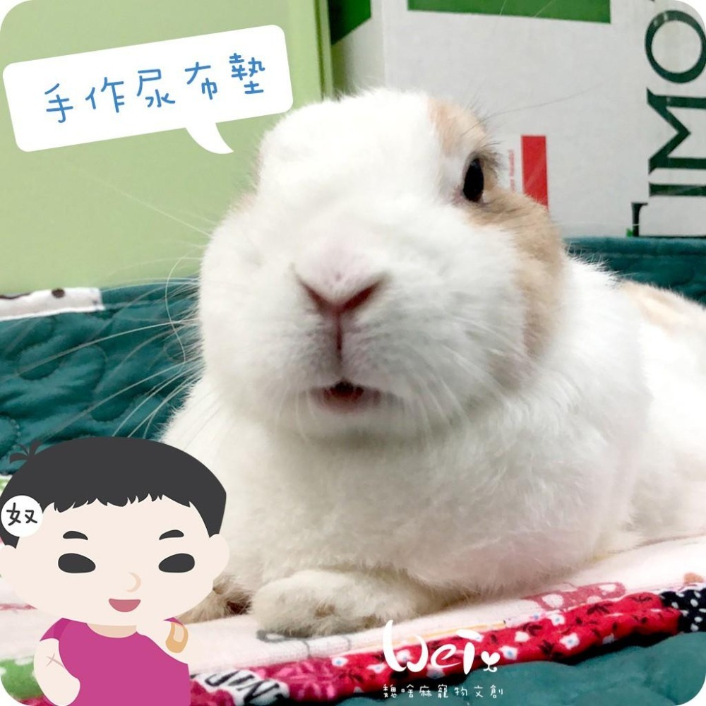 魏啥麻手作-多功能寵物吸尿床墊/尿布墊/隔尿墊 -  【台灣製造】貓狗兔天竺鼠寵物用-細節圖5