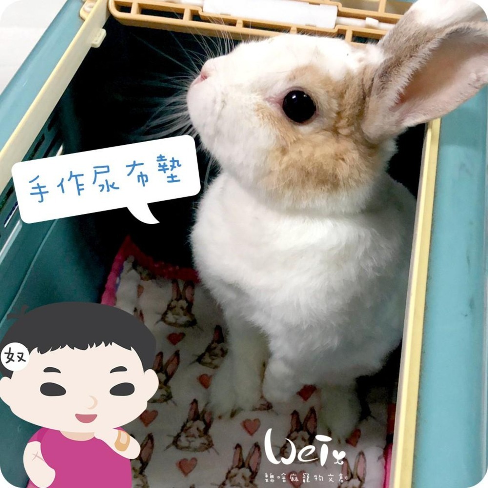 魏啥麻手作-多功能寵物吸尿床墊/尿布墊/隔尿墊 -  【台灣製造】貓狗兔天竺鼠寵物用-細節圖6