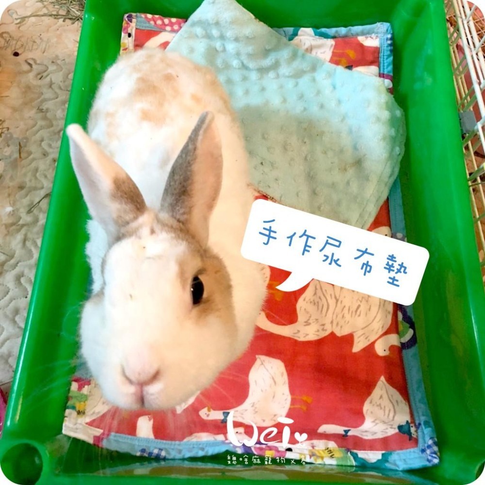 魏啥麻手作-多功能寵物吸尿床墊/尿布墊/隔尿墊 -  【台灣製造】貓狗兔天竺鼠寵物用-細節圖7