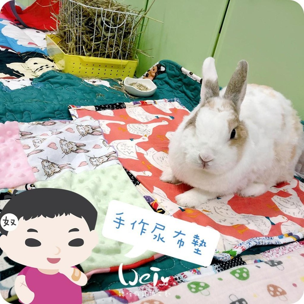 魏啥麻手作-多功能寵物吸尿床墊/尿布墊/隔尿墊 -  【台灣製造】貓狗兔天竺鼠寵物用-細節圖9