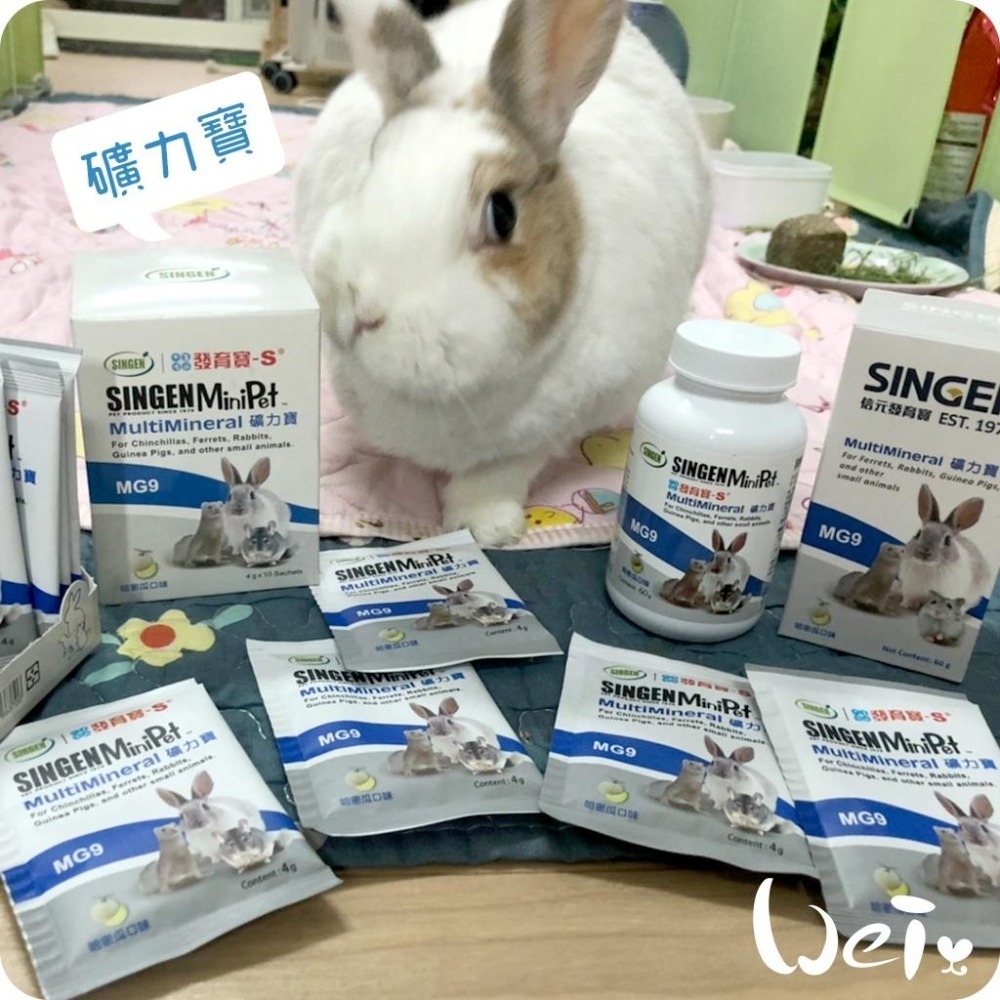 魏啥麻-信元發育寶 小寵礦力寶 60g(補充電解質&礦物質) 哈密瓜風味(兔 天竺鼠保健品-細節圖2