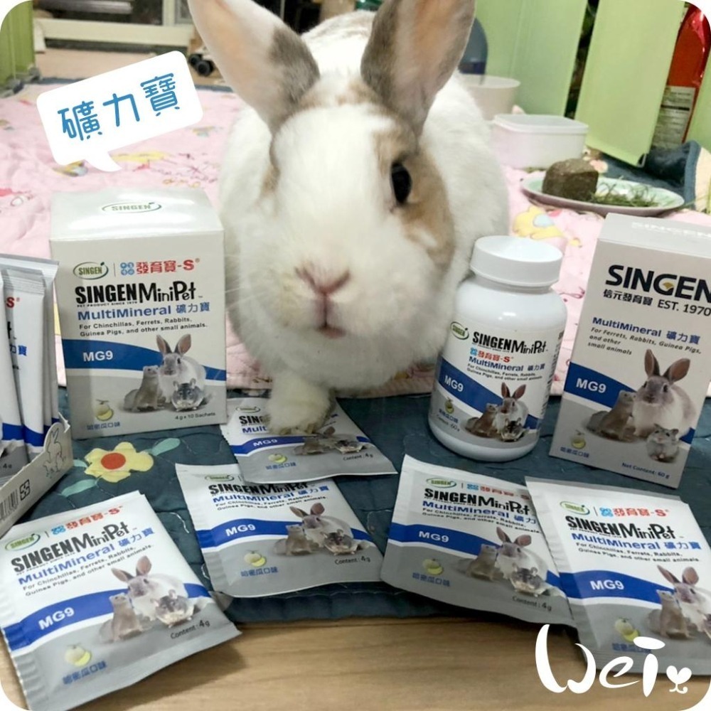魏啥麻-信元發育寶 小寵礦力寶 60g(補充電解質&礦物質) 哈密瓜風味(兔 天竺鼠保健品-細節圖3