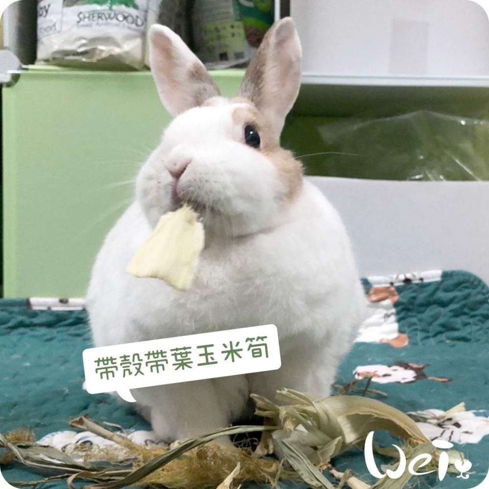 魏啥麻-乾燥帶葉帶殼玉米筍 (真空包裝)(純天然無添加 請少量給予)寵物手工零食-細節圖4