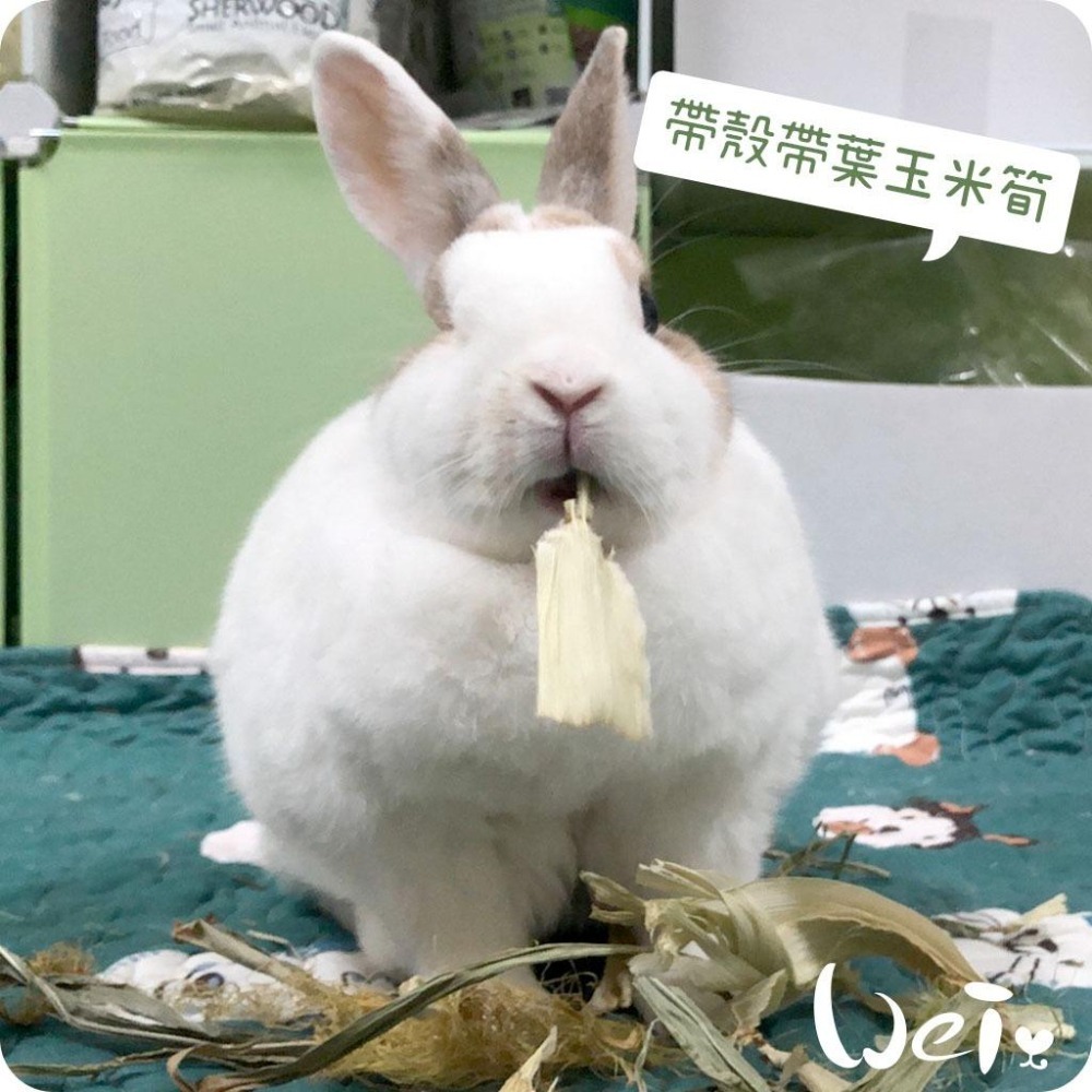 魏啥麻-乾燥帶葉帶殼玉米筍 (真空包裝)(純天然無添加 請少量給予)寵物手工零食-細節圖5