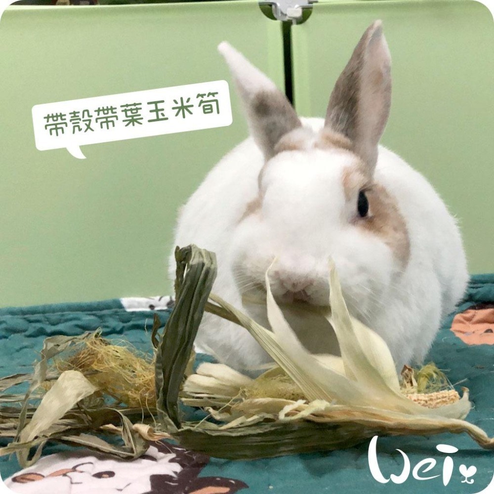 魏啥麻-乾燥帶葉帶殼玉米筍 (真空包裝)(純天然無添加 請少量給予)寵物手工零食-細節圖6