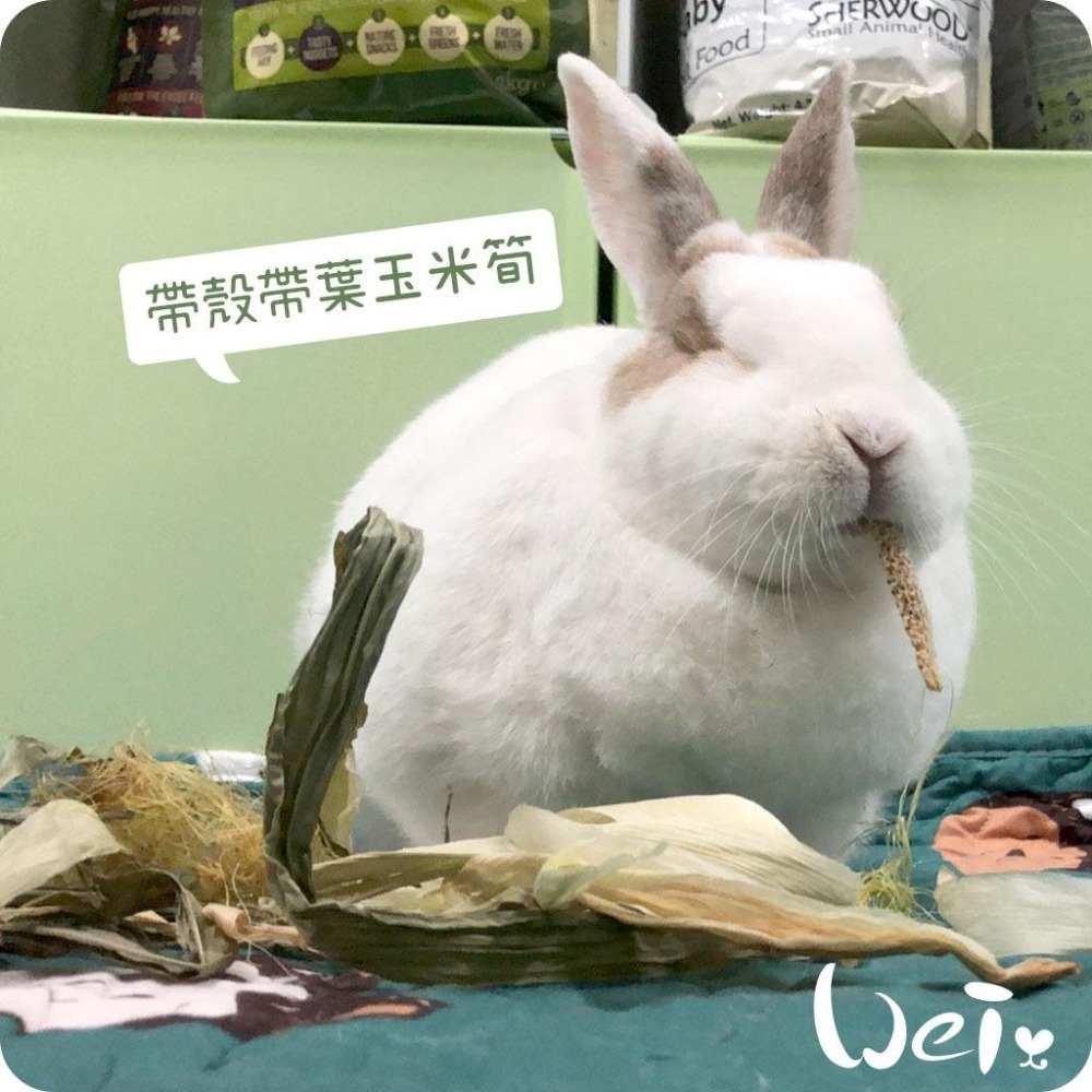 魏啥麻-乾燥帶葉帶殼玉米筍 (真空包裝)(純天然無添加 請少量給予)寵物手工零食-細節圖7