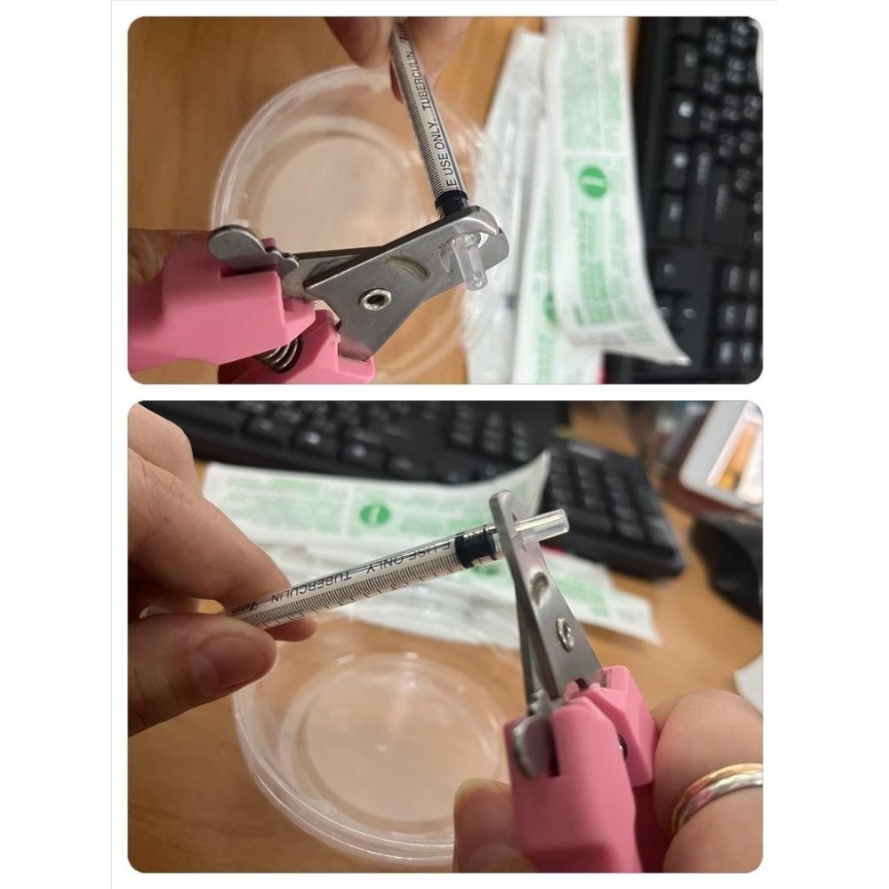 魏啥麻-美國OXBOW木瓜極細灌食草粉 100g(低鈣 無苜蓿 粗纖維高(21-26%)蛋白高(17%)兔 天竺鼠-細節圖6