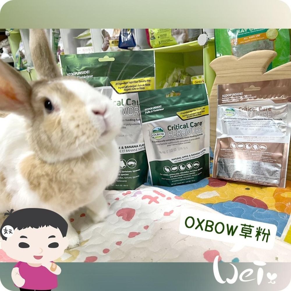 魏啥麻-美國OXBOW木瓜極細灌食草粉 100g(低鈣 無苜蓿 粗纖維高(21-26%)蛋白高(17%)兔 天竺鼠-細節圖8