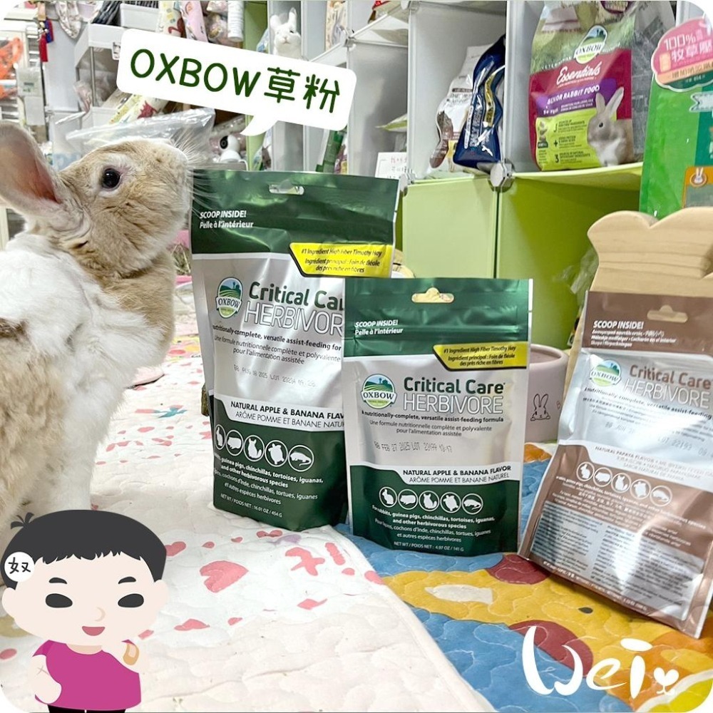 魏啥麻-美國OXBOW木瓜極細灌食草粉 100g(低鈣 無苜蓿 粗纖維高(21-26%)蛋白高(17%)兔 天竺鼠-細節圖9