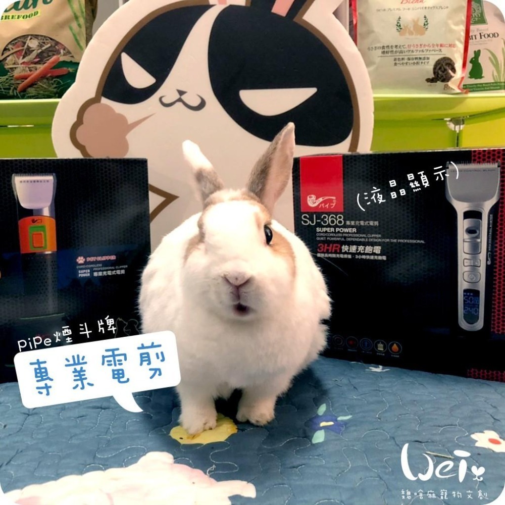 魏啥麻-(螢幕顯示)PiPe煙斗牌SJ-368寵物專業電剪 /單賣刀頭 剃毛(兔 天竺鼠)-細節圖4