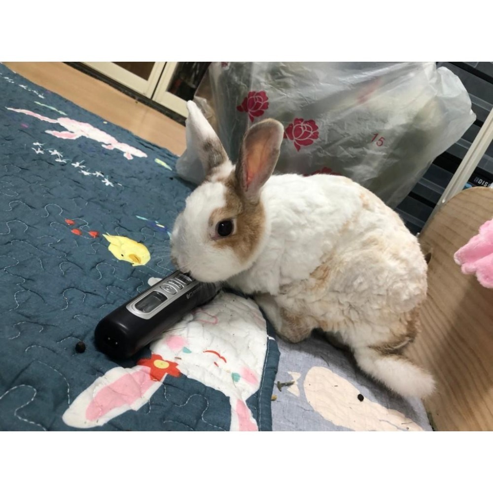 魏啥麻-(螢幕顯示)PiPe煙斗牌SJ-368寵物專業電剪 /單賣刀頭 剃毛(兔 天竺鼠)-細節圖6