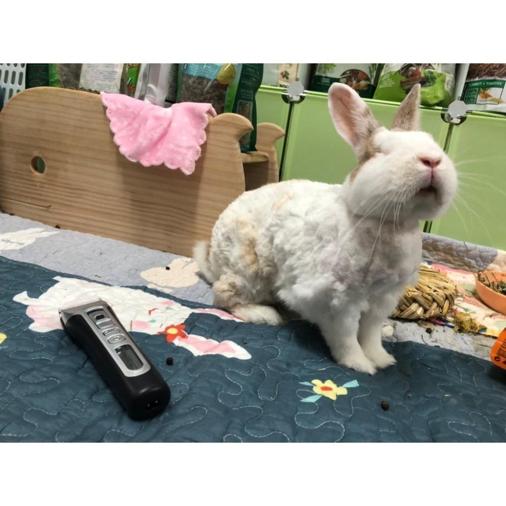 魏啥麻-(螢幕顯示)PiPe煙斗牌SJ-368寵物專業電剪 /單賣刀頭 剃毛(兔 天竺鼠)-細節圖7