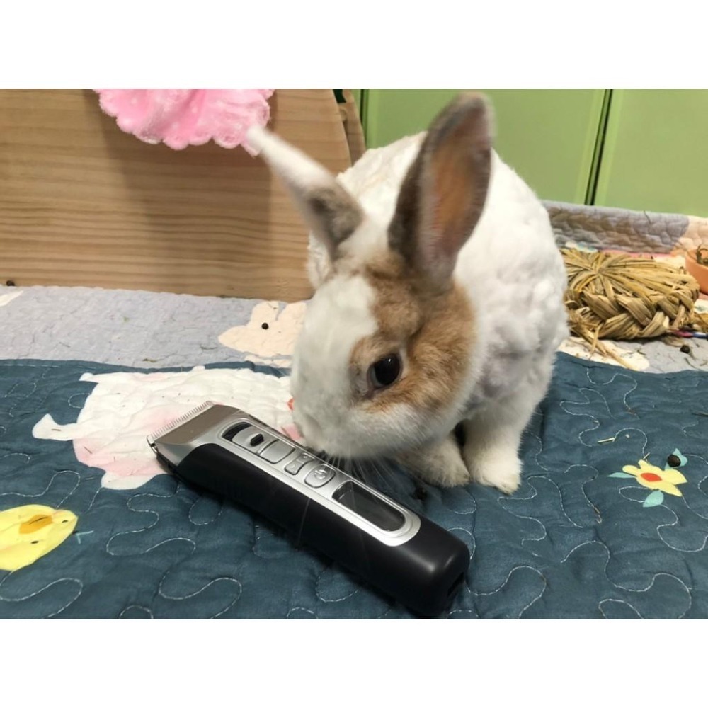 魏啥麻-(螢幕顯示)PiPe煙斗牌SJ-368寵物專業電剪 /單賣刀頭 剃毛(兔 天竺鼠)-細節圖8